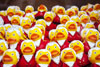 Mozart Ducks